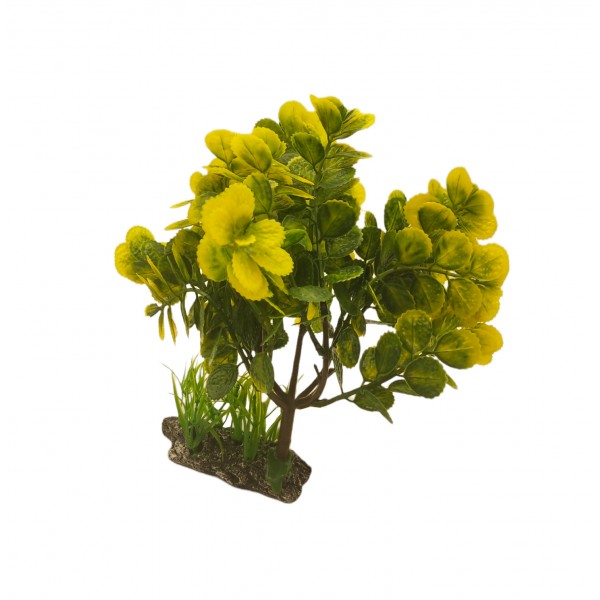 ΔΙΑΚΟΣΜΗΤΙΚΟ ΦΥΤΟ ΕΝΥΔΡΕΙΟΥ 11.5Χ25CM